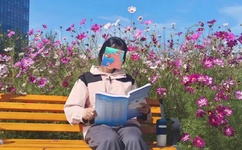 快乐无忧四叶草